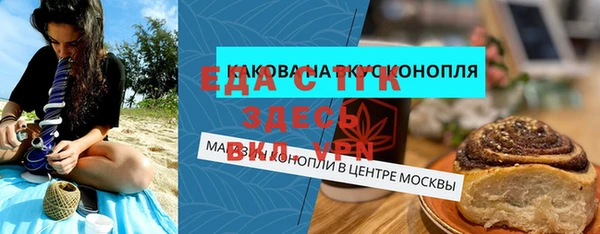 индика Богородицк